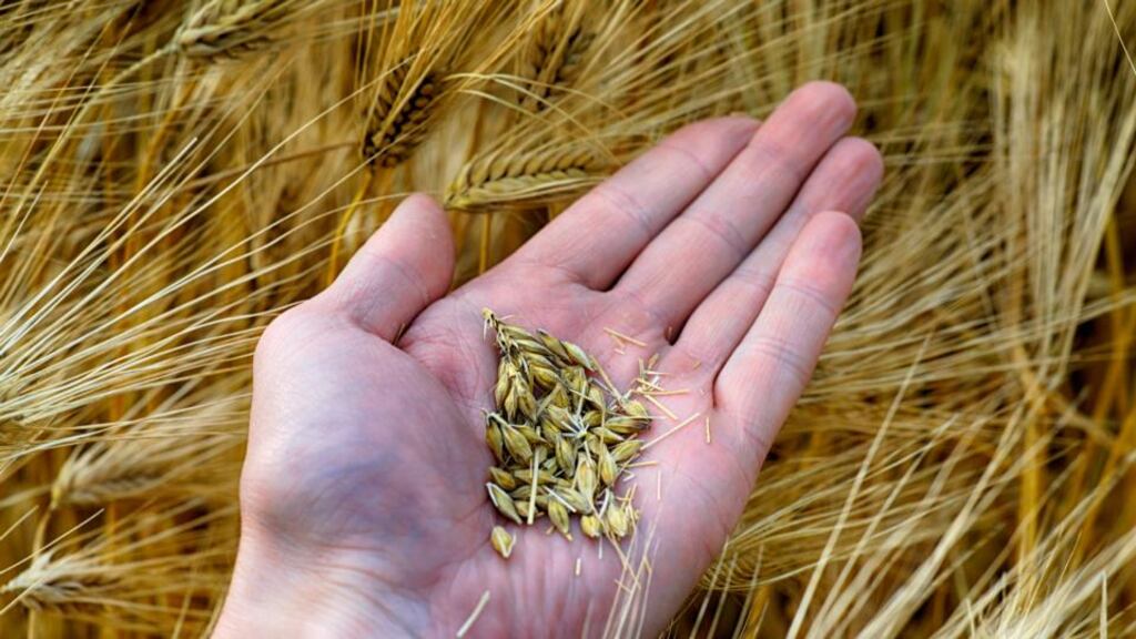 Origin has reached agreement to acquire the Romanian agri-service firms Redoxim and Comfert for a combined €54.4 million