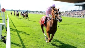 HRI boss says Derby day queue problem needs to be addressed