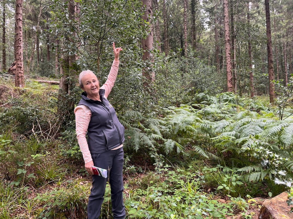 Ecologist Aileen O'Sullivan of Coillte outlines how 'forestry for nature' is helping to enhance biodiversity in Glenart Forest, Co Wicklow. Photograph: Kevin O'Sullivan
