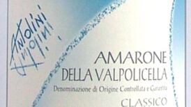 Antolini Amarone della Valpolicella Classico Morópio 2010, €39.50, 16.5%