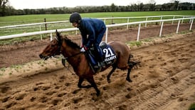 Gordon Elliott chases more big-race glory in Galway