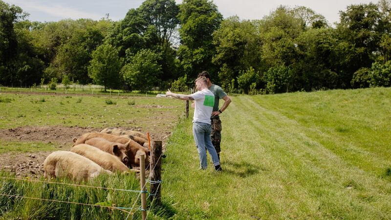 Niall Davidson and Lucio Diez at Rock Farm Slane. Pork from Tamworth pigs will feature on the launch menu for Allta Summer House.