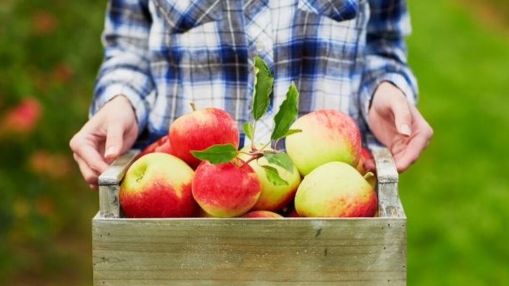 The worker told his bosses he felt a sudden and sharp pain to his back and the pain was so bad that he had to drop the box. File photograph: iStock