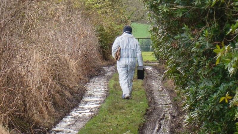 A Garda forensics expert walks towards the remote area where Paddy Lyons (90) was found dead in his home. Photograph: Michael Mac Sweeeney/ Provision