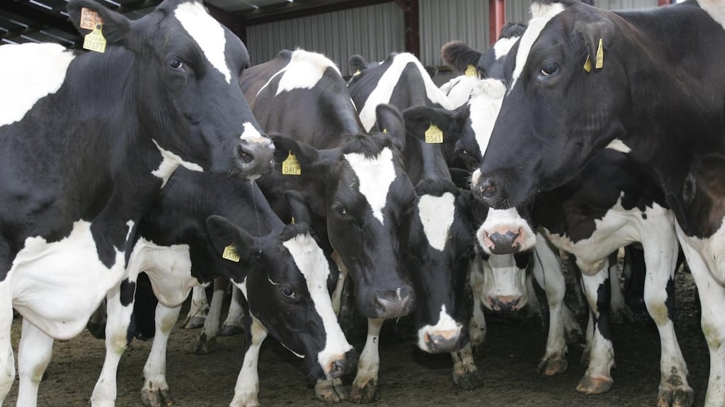 'The reality is that limiting food production in Ireland is likely to increase global emissions.' File photograph: Brenda Fitzsimons/The Irish Times