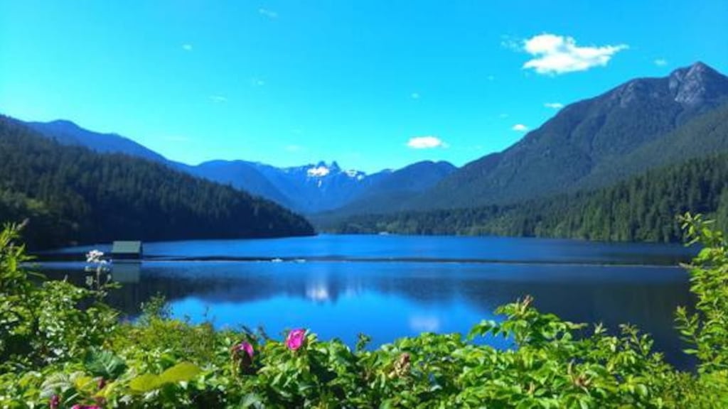 Cleveland Dam in Vancouver. Photograph: Hazel Norton