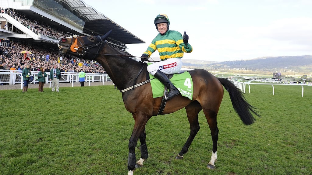 The JP McManus-owned Jezki will not be travelling to Cheltenham this year. Photograph: Alan Crowhurst/Getty Images
