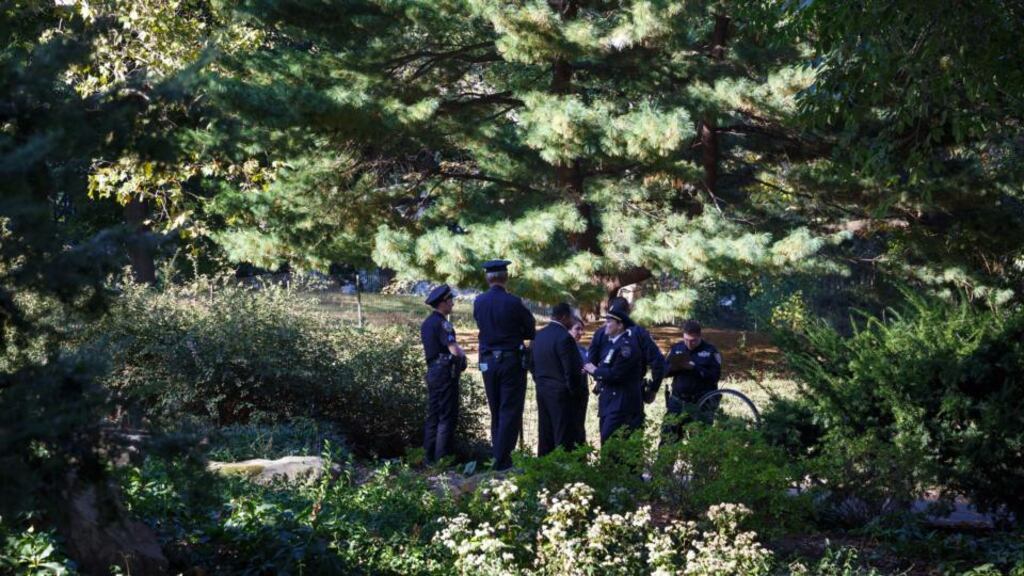 The scene near West 69th Street and the West Drive in New York’s Central Park where a dead bear cub was discovered on Monday morning. Photograph: Richard Perry/The New York Times