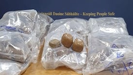 Gardaí seize cannabis in Dublin valued at €348,000 and arrest two