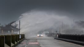 Our Wild Atlantic Way may be about to get much wilder