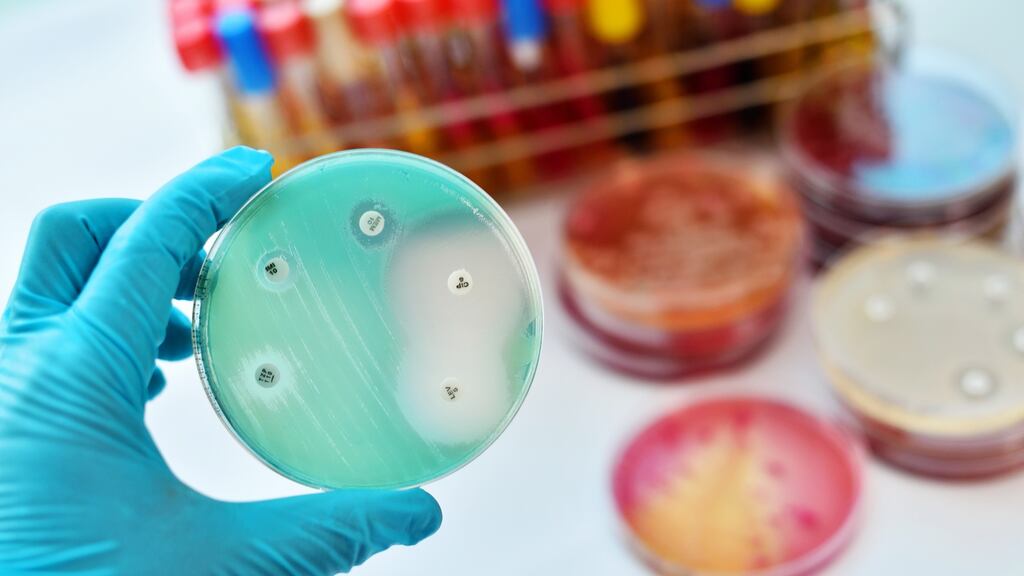 To find new antibiotics, the researchers first trained a “deep learning” algorithm to identify the sorts of molecules that kill bacteria