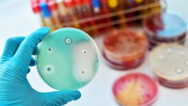 Antibiotic that kills drug-resistant bacteria discovered through AI