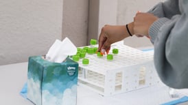 Ireland’s Covid-19 death rate currently high by global standard, study finds