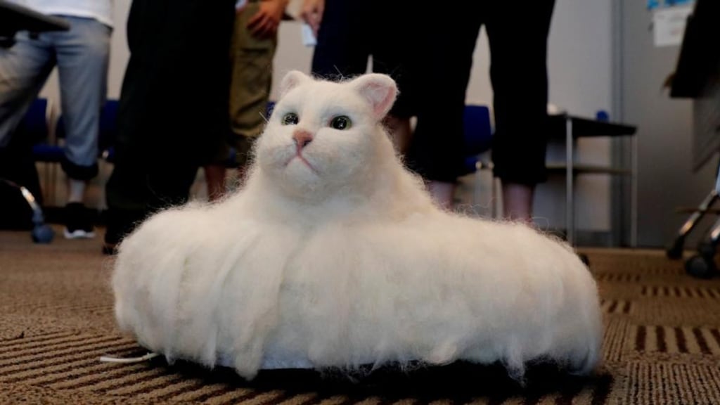 Not a real cat: robot cat Ballon at the Underground Maker Festival in Tokyo. Photograph: Kim Kyung-Hoon/Reuters