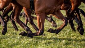 No date set for trainer Stephen Mahon’s appeal of four-year ban