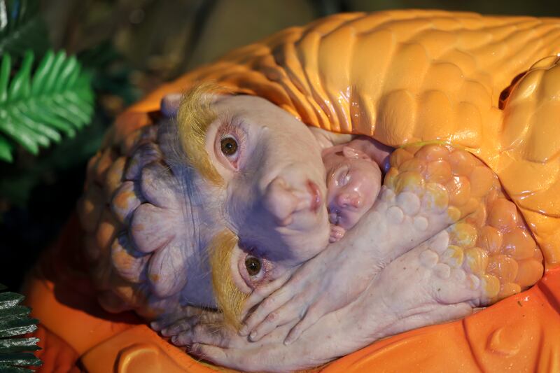 Patricia Piccinini’s Safely Together