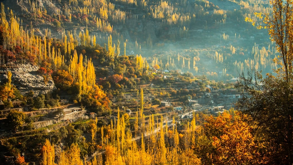 Mountain valley in Gilgit-Baltistan, Pakistan. Its forestry department does not have enough manpower to oversee the quarter-million hectares of natural forest in the region. Photograph: Getty Images