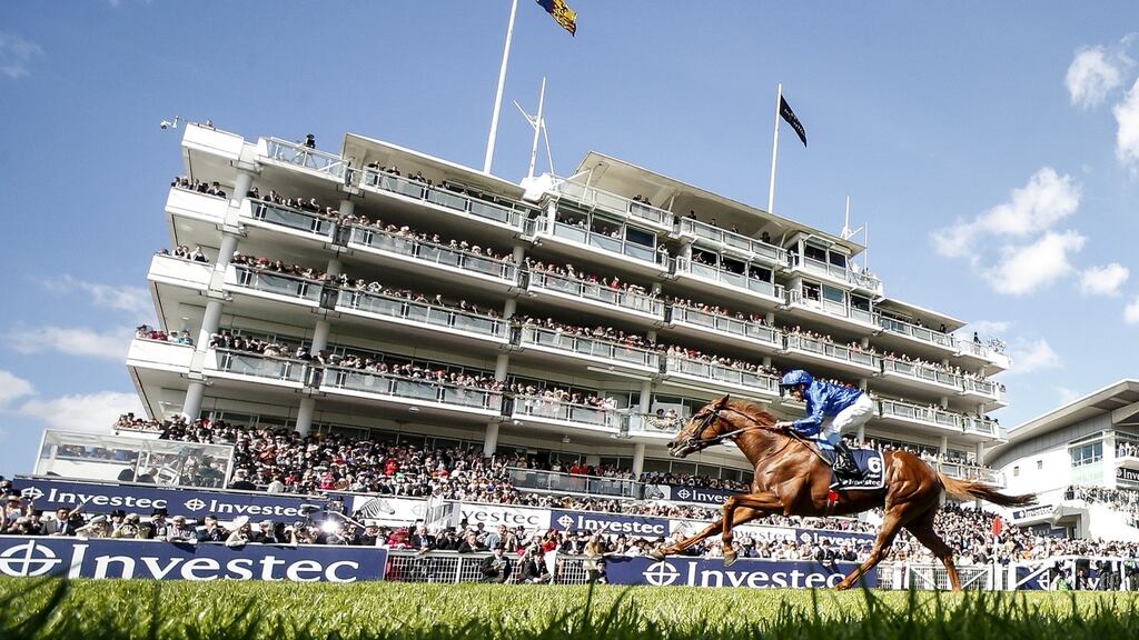 The Speed Gene test analyses a racehorse’s DNA to identify the best distance at which it should compete. Photograph: Alan Crowhurst/Getty Images