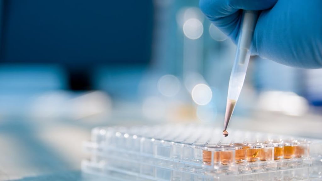 Research fraud certainly does take place and sometimes to a spectacular degree