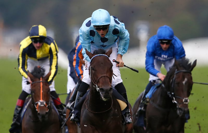 Christophe Soumillon riding Almanzor (centre) in the Qipco Champion Stakes at Ascot in October 2016. Photograph: Alan Crowhurst/Getty Images
