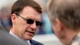Saxon Warrior tipped to give Aidan O’Brien 13th Irish Derby win