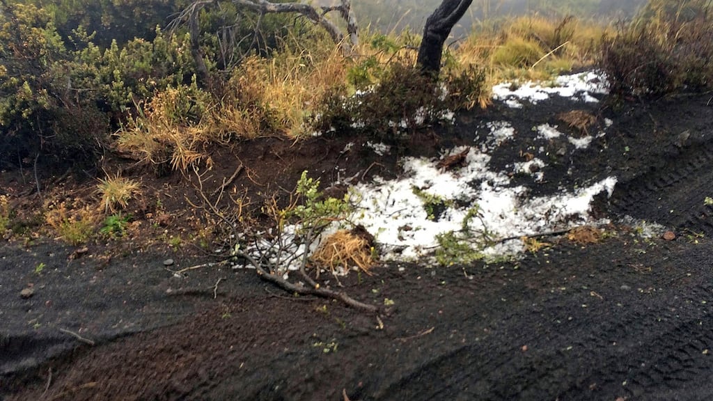 Black volcanic cinders are covered with a dusting of snow at the Polipoli State Recreation area on the slopes of Haleakala near Kula on the Hawaii island of Maui. Photograph: Brent Edwards/AP