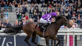 Blackbeard tries to bounce back from Ascot with Railway victory