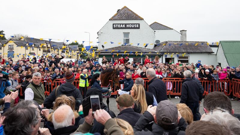 Grand National winning horse Tiger Roll pictured in Summerhill, Co Meath. Photograph: Tom Honan