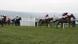 Punchestown Festival crowds expected to top 110,000 and set new course record