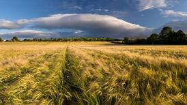 Crop failures: Ireland and EU left behind as gene editing marches on