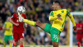 Ireland players set for more chances to develop on international stage