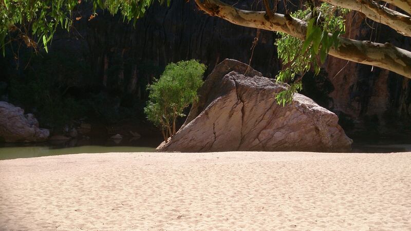 Michelle Harper: ‘The weather has definitely become hotter over the years. And drier.’