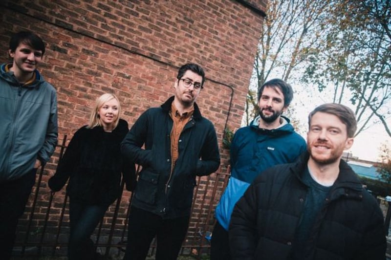 Silverbacks. Photograph: Phil Smithies