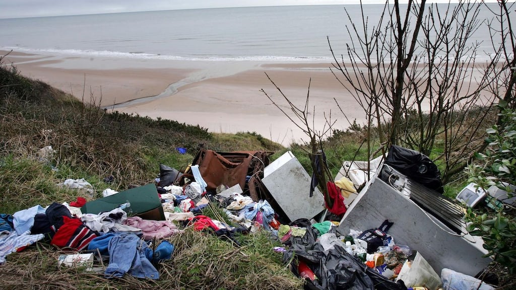 Rubbish dumped at a beach in Wicklow. Photograph: Eric Luke/The Irish Times