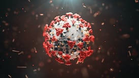 Coronavirus ‘swept east Asia 20,000 years ago’