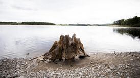 Over 300 people reported for breaches of water hosepipe ban