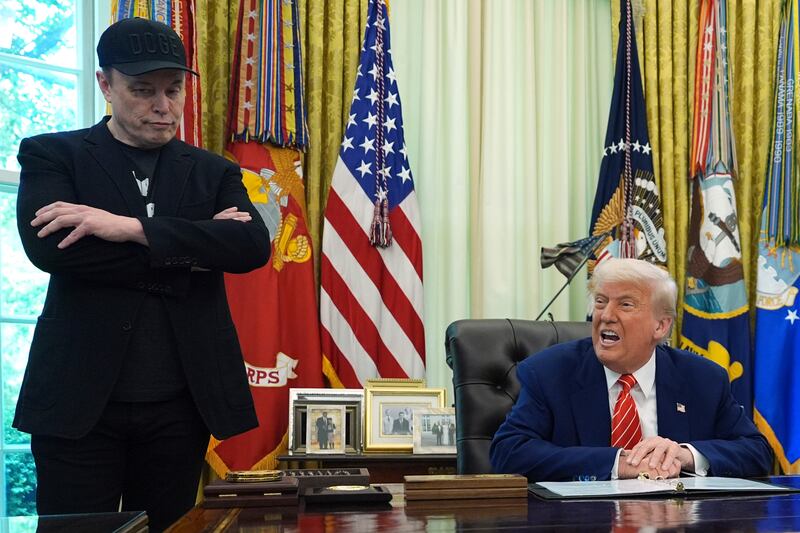 US president Donald Trump with Elon Musk in the Oval Office. Photograph: Evan Vucci/AP