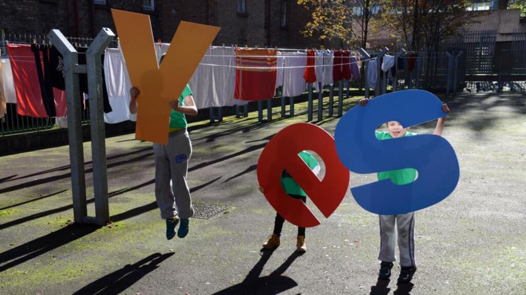 Expert has told the High Court he believes the Government’s information campaign in the recent referendum exerted a “significant emotional influence” on voter behaviour.