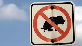 Only four dog fouling fines issued in Cork in 21 years