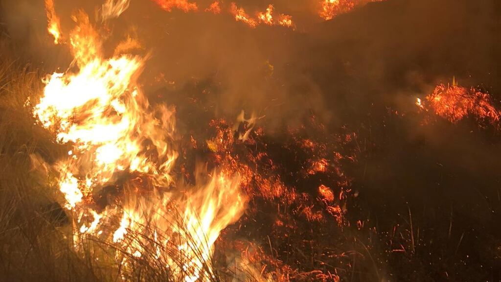 Fire ravages part of Bull Island in Dublin on Monday night. Photograph: Dublin Fire Brigade