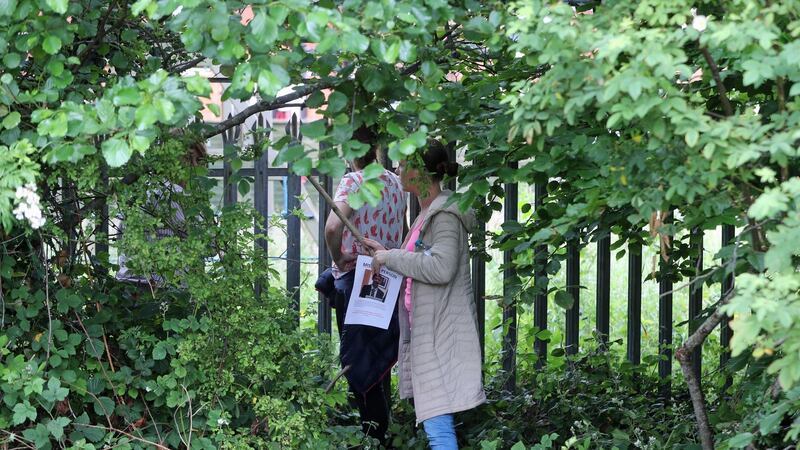 People  search for missing Noah Donohoe (14) who was last seen in the Shore Road area of north Belfast. Photograph: PA