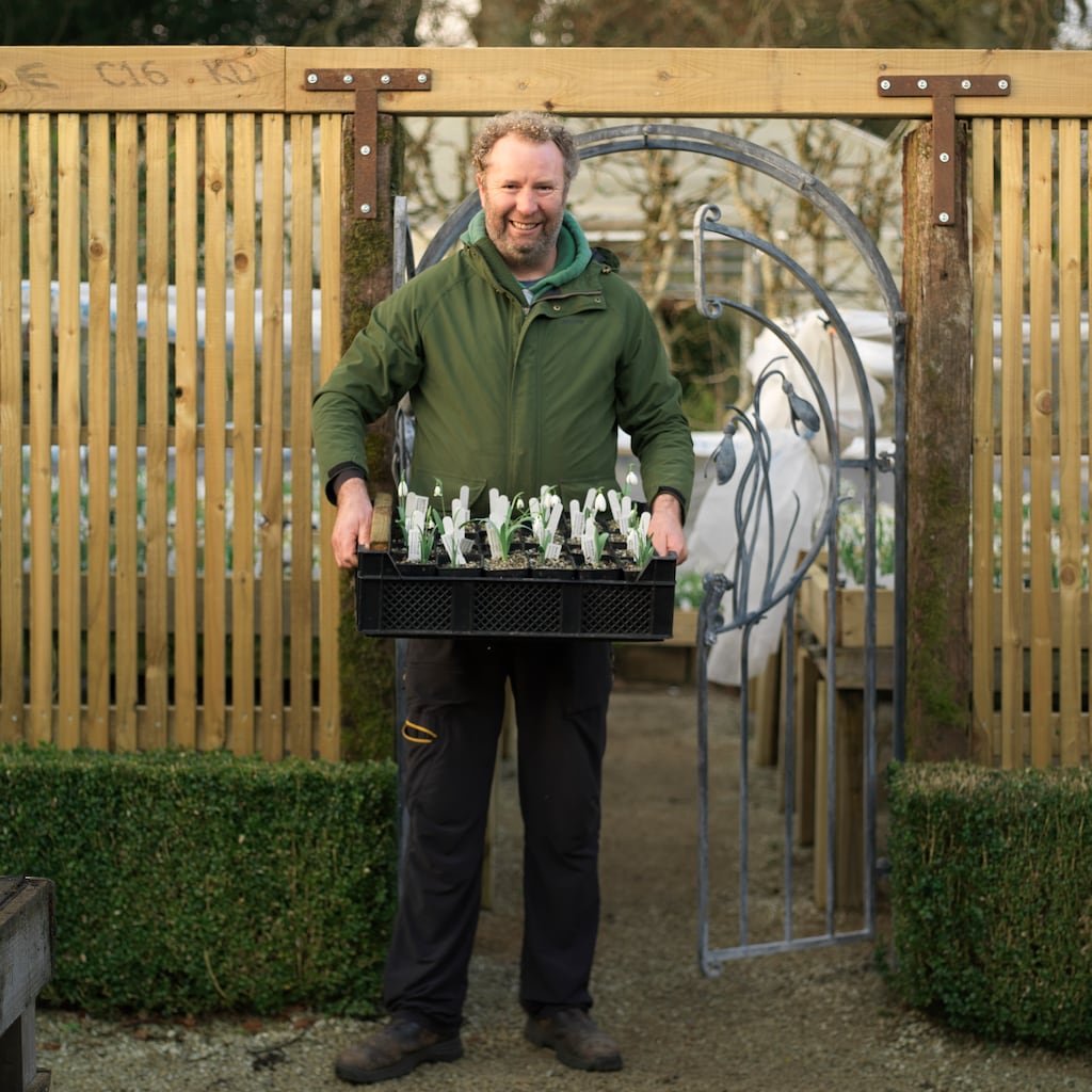 Robert Miller. Photograph: Richard Johnston
