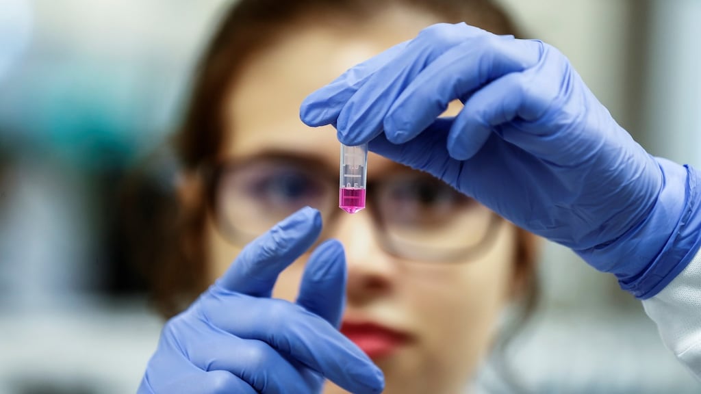 Public Health England is due to start preliminary evaluation of the vaccine on animals next week. Photograph: EPA