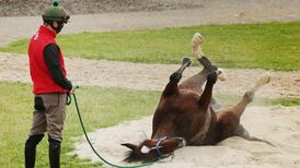 Record six Irish-trained horses tackle Melbourne Cup