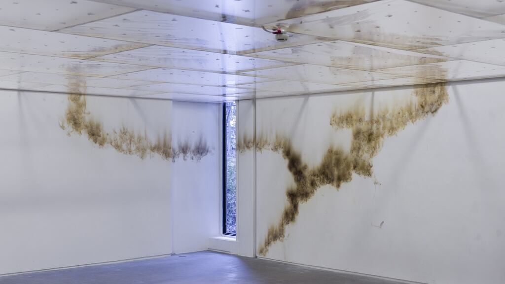 Gabriel Kuri, spending static to save gas, 2020, installation view. Featuring detail of chart, 2020, smoke drawing on wall. Courtesy of the artist and the Douglas Hyde Gallery. Photograph: Louis Haugh