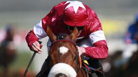 Best of the rest on Gold Cup day