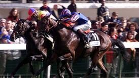 Horse Racing Ireland unveil revised Group race programme