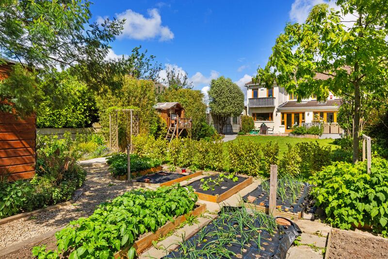 The neat and useful garden for homegrown food.