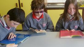 Irlen syndrome: looking at the world through tinted spectacles