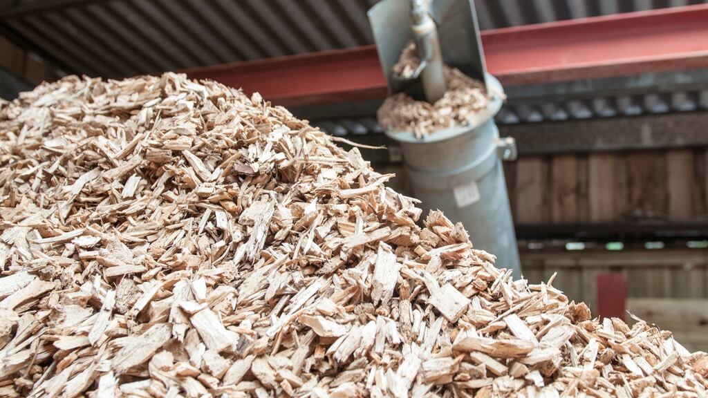 EU guidelines concerning environmental protection include provisions on aid to energy infrastructure and generation capacity to strengthen the EU’s internal energy market. Photograph: iStock